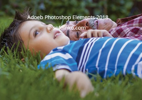 adobe photoshop element 14 review