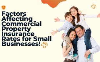 Factors Affecting Commercial Property Insurance Rates for Small Businesses